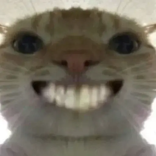 I CAN HAZ PET? ONLY IF U HOLD $50