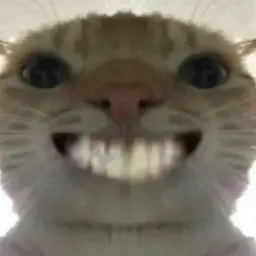 cat #9