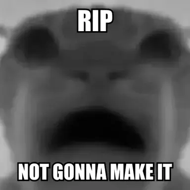 rip